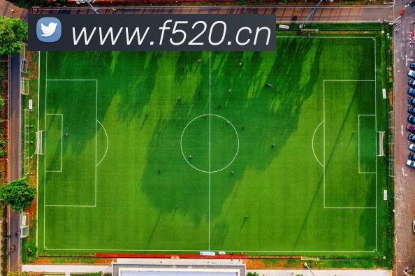 多媒体互动体验